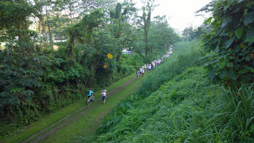 https://club.pnkids.com.sg/wp-content/uploads/2020/03/bukit-timah-nature-reserve-3.jpg