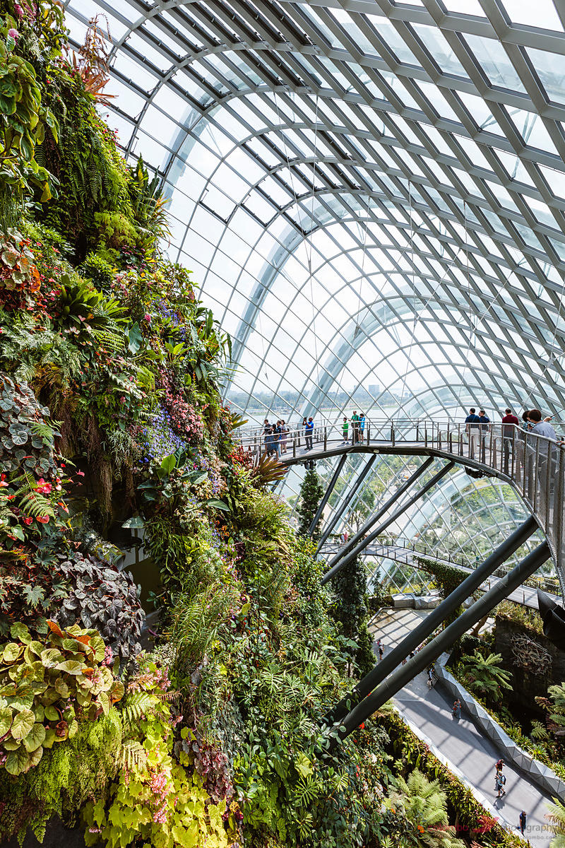 https://club.pnkids.com.sg/wp-content/uploads/2020/03/cloud-forest-3-1.jpg