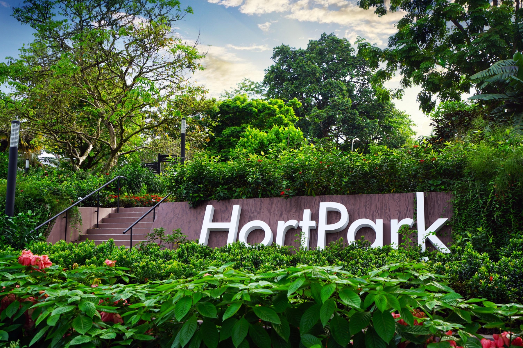 https://club.pnkids.com.sg/wp-content/uploads/2020/03/hort-park-1.jpg