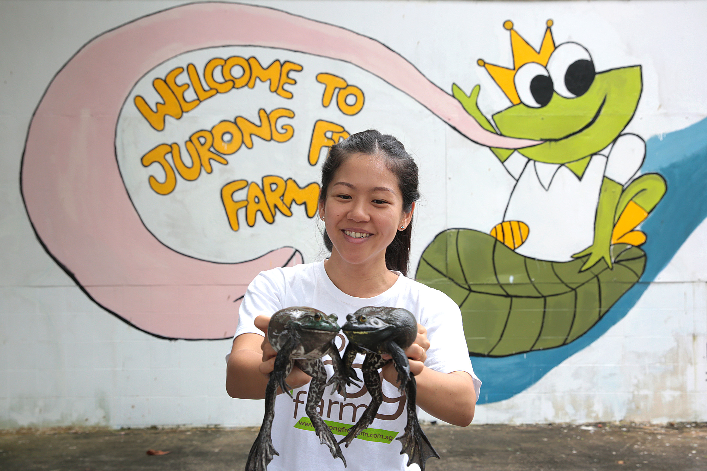 https://club.pnkids.com.sg/wp-content/uploads/2020/03/jurong-frog-farm-singapore.jpg